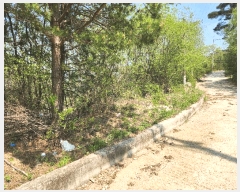  2025Ÿ��71559  �����