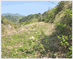  2025Ÿ��71559  �����