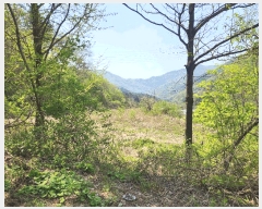  2025Ÿ��71559  �����