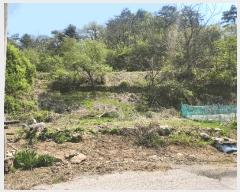  2025Ÿ��71559  �����