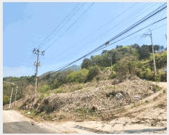  2025Ÿ��71559  �����