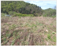  2025Ÿ��71559  �����