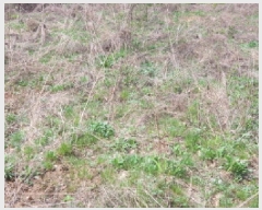  2025Ÿ��71559  �����