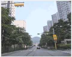  2025Ÿ��71756  ����Ʈ���