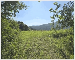  2025Ÿ��72038 ��� ���� û��� ��õ�� 212-2      ����(��1)���