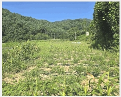 2025Ÿ��72038 ��� ���� û��� ��õ�� 212-2      ����(��1)���