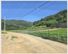  2025Ÿ��72038 ��� ���� û��� ��õ�� 212-2      ����(��1)���