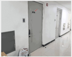  2025Ÿ��829  ���ǽ��ڰ��