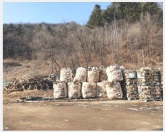  2025Ÿ��70866  �����