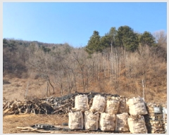  2025Ÿ��70866  �����