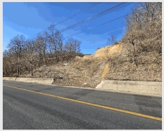  2025Ÿ��71270 ��� �����ֽ� ȭ���� �����츮 ��31      ����(�Ӿ�)���