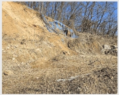  2025Ÿ��71270 ��� �����ֽ� ȭ���� �����츮 ��31      ����(�Ӿ�)���