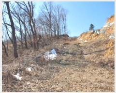  2025Ÿ��71270 ��� �����ֽ� ȭ���� �����츮 ��31      ����(�Ӿ�)���