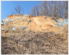  2025Ÿ��71270 ��� �����ֽ� ȭ���� �����츮 ��31      ����(�Ӿ�)���