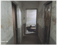  2025Ÿ��71514  �ټ���(����)���