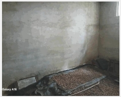  2025Ÿ��71514  �ټ���(����)���