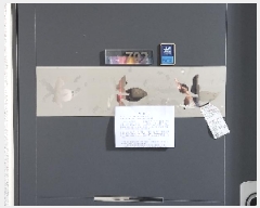  2025Ÿ��72064  ����Ʈ���