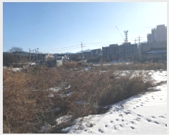  2025Ÿ��133  �������