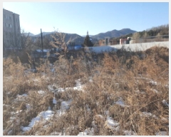  2025Ÿ��133  �������