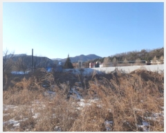  2025Ÿ��133  �������