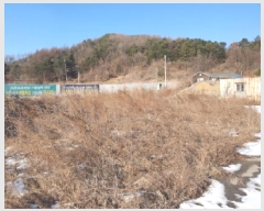  2025Ÿ��133  �������