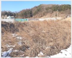  2025Ÿ��133  �������