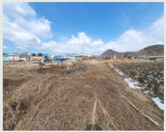  2025Ÿ��362  �����