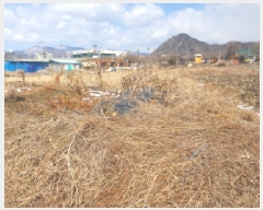  2025Ÿ��362  �����