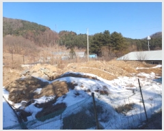  2025Ÿ��393 ��� ���� �ϸ� �̰ 465-6      ����(��1)���