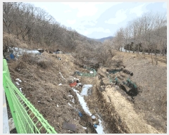  2025Ÿ��447  �����