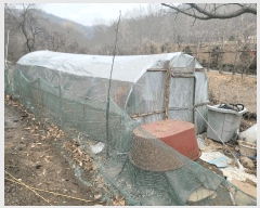  2025Ÿ��447  �����