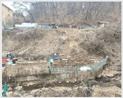  2025Ÿ��447  �����