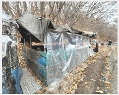  2025Ÿ��447  �����