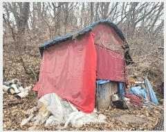  2025Ÿ��447  �����