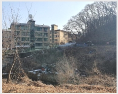  2025Ÿ��447  �����