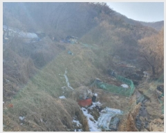  2025Ÿ��447  �����