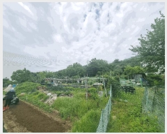  2025Ÿ��1297  �Ӿ߰��