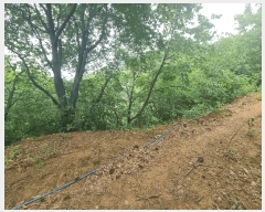  2025Ÿ��1297  �Ӿ߰��