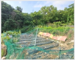  2025Ÿ��1297  �Ӿ߰��