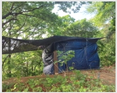  2025Ÿ��1297  �Ӿ߰��