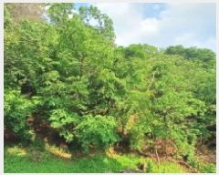  2025Ÿ��1297  �Ӿ߰��