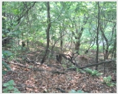  2025Ÿ��1297  �Ӿ߰��