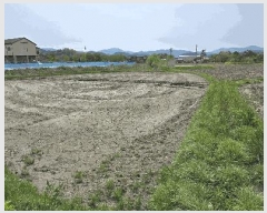  2025Ÿ��1525 ��� ���� ������ ���� 420-29      ����(��)���