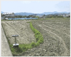  2025Ÿ��1525 ��� ���� ������ ���� 420-29      ����(��)���