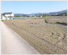  2025Ÿ��1525 ��� ���� ������ ���� 420-29      ����(��)���