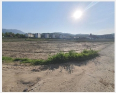  2025Ÿ��1525 ��� ���� ������ ���� 420-29      ����(��)���