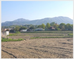  2025Ÿ��1525 ��� ���� ������ ���� 420-29      ����(��)���