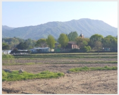  2025Ÿ��1525 ��� ���� ������ ���� 420-29      ����(��)���