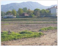  2025Ÿ��1525 ��� ���� ������ ���� 420-29      ����(��)���