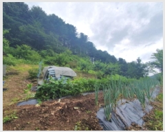  2025Ÿ��1754  �����